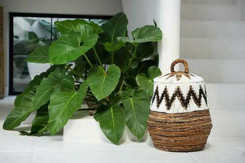 Check Wicker Basket Natural White M 47x44x44 cm