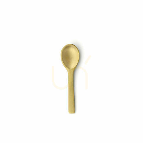 Check Salt Scoop Gold S