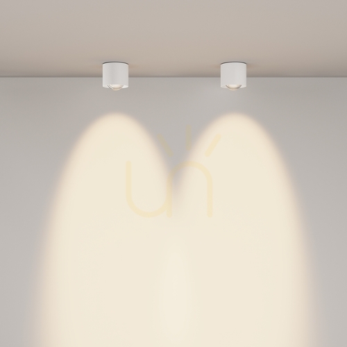 Check Flush Ceiling Light LENS C217CL-15W3K-W IP44 Maytoni