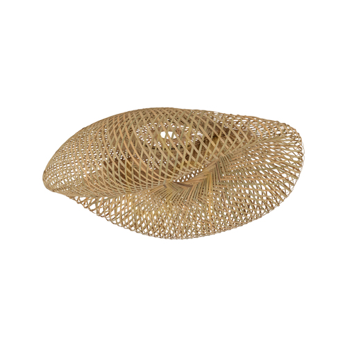 Check CAMELEON HAVANA M 12433 Nowodvorski