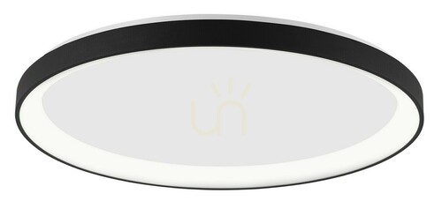 Check Plafond ROTA Luces Exclusivas LE41475