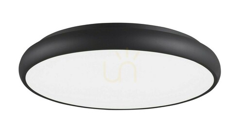 Check Plafond TAME Luces Exclusivas LE41488