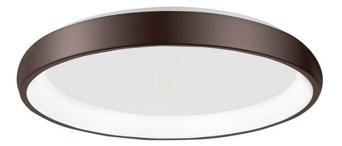 Check Plafond TOLU Luces Exclusivas LE41504