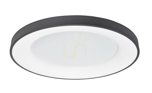 Check TOME Luces Exclusivas Plafond LE41523