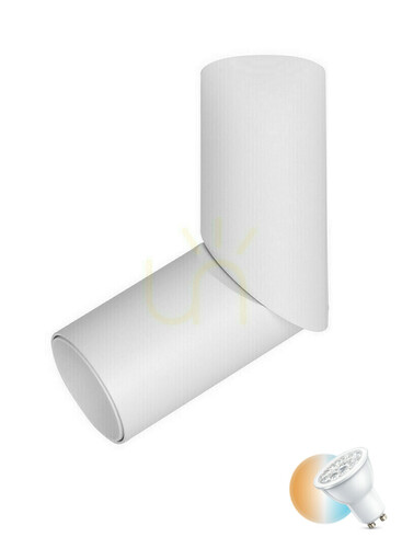 Check Accessory ACARIGUA Luces Exclusivas LE61353