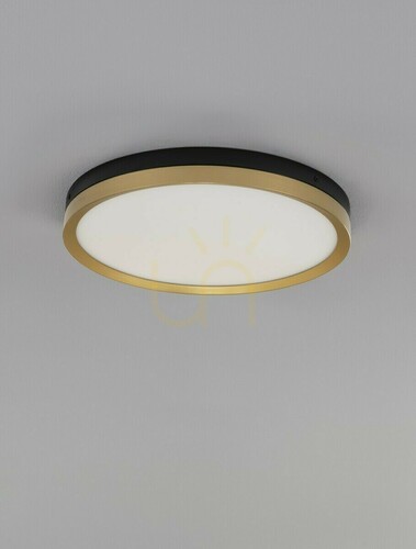 Check Plafond BANE Luces Exclusivas LE43228