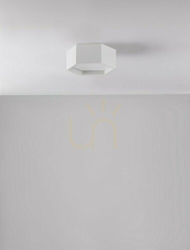 Check Plafond ADRIAN Luces Exclusivas LE43601