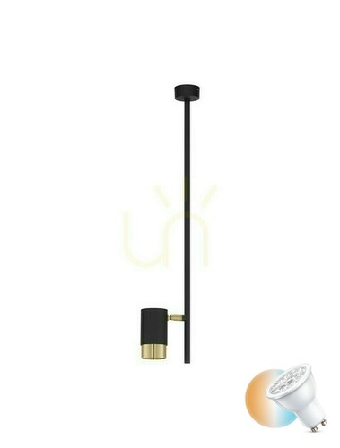 Check Plafond BAILON Luces Exclusivas LE43635