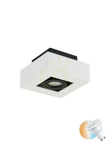 Check Spot ACATENO Luces Exclusivas LE61634