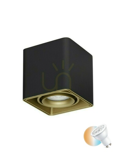 Check Black Ceiling Spotlight Luces Exclusivas ACATIPA LE61637 GU10 10 W