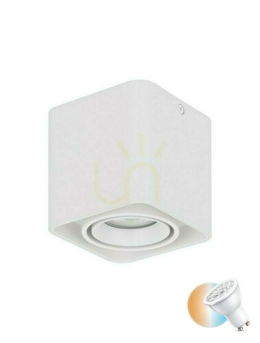 Check Spot ACATIPA Luces Exclusivas LE61638
