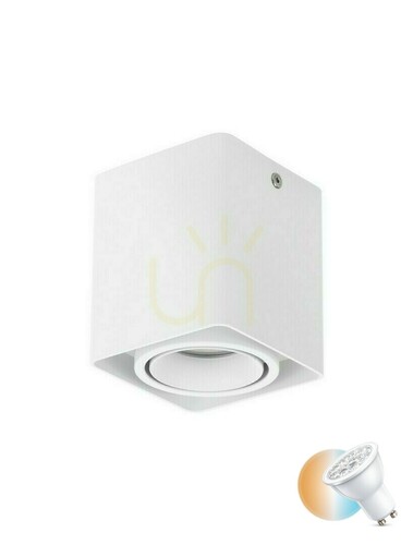 Check Spot CHIVACOA Luces Exclusivas LE61639