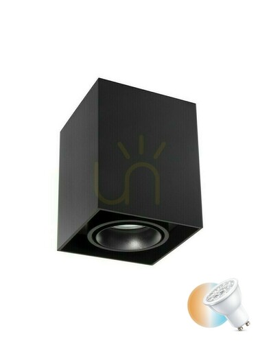 Check Spot CHIVACOA Luces Exclusivas LE61640