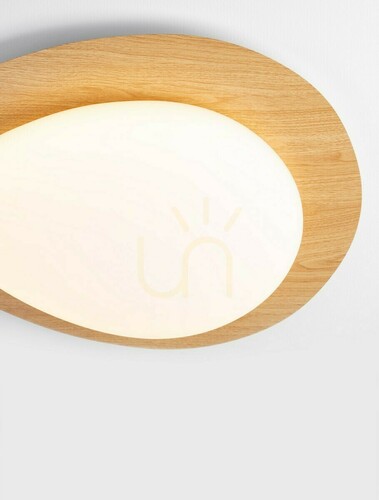 Check Plafond ISIDRO Luces Exclusivas LE44417