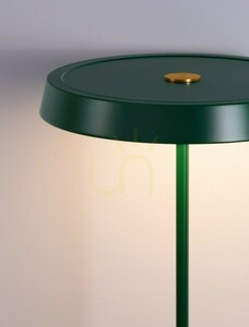 Coruna Luces Exclusivas LE44434 floor lamp green LED 3000 K small 3
