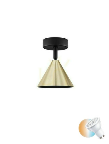 Check Plafond SALVADO Luces Exclusivas LE45595