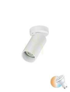 CORENZO Modern Lamp by Luces Exclusivas LE45648 0 CORENZO Modern Lamp by Luces Exclusivas LE45648 small 0