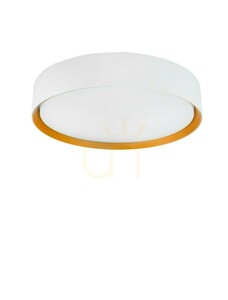 Luces Exclusivas EIBAR LE62445 White LED Ceiling Light with Gold Trim 24 W Ø30.1 cm small 0
