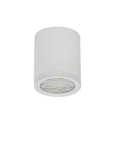 Check SARRIA Luces Exclusivas Ceiling Lens LE62570