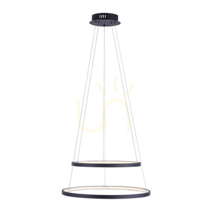 CIRCLE Pendant Lamp 11525-13 Anthracite 2xLED 10 CIRCLE Pendant Lamp 11525-13 Anthracite 2xLED small 10