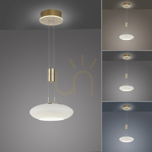 Q-ETIENNE 2075-60 Brown 2xLED Pendant Lamp small 4