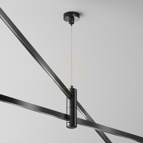 Check Maytoni FLARITY double cable suspension black 24V for magnetic track TRA157SW-D1-B