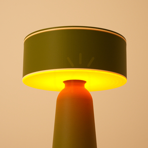 AXO desk lamp olive green small 5