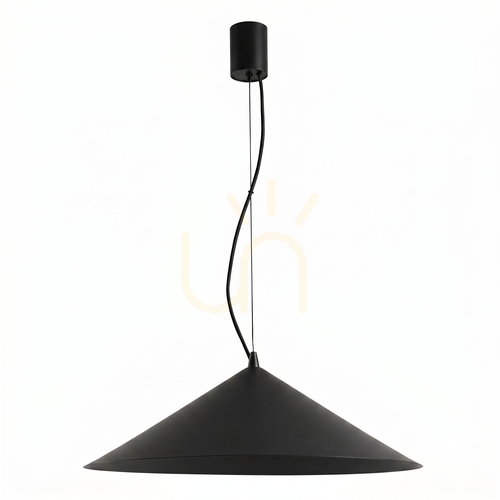 Check FINT black LED 4000K pendant lamp