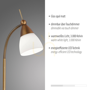 PINO Table Lamp 4001-11 Brass 1xG9 3 PINO Table Lamp 4001-11 Brass 1xG9 small 3