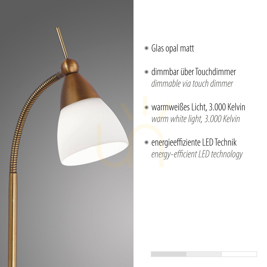 Display PINO Table Lamp 4001-11 Brass 1xG9 PINO Table Lamp 4001-11 Brass 1xG9