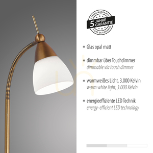 PINO Table Lamp 4001-11 Brass 1xG9 4 PINO Table Lamp 4001-11 Brass 1xG9 small 4