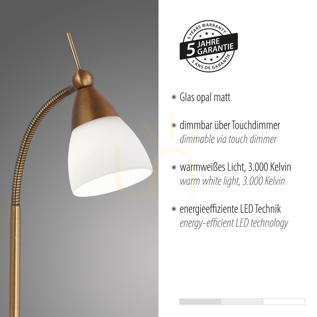 Show PINO Table Lamp 4001-11 Brass 1xG9 PINO Table Lamp 4001-11 Brass 1xG9