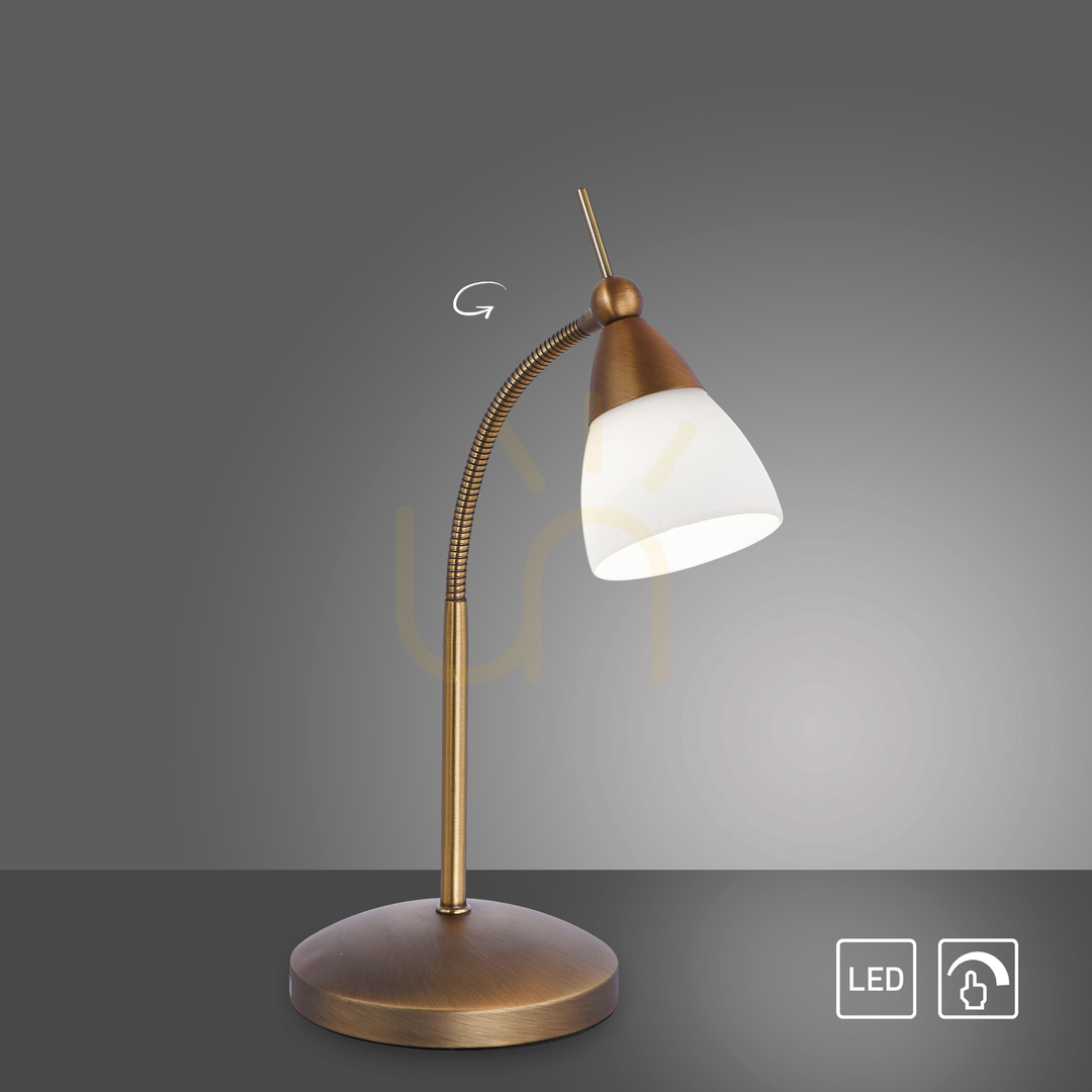 Display PINO Table Lamp 4001-11 Brass 1xG9 PINO Table Lamp 4001-11 Brass 1xG9