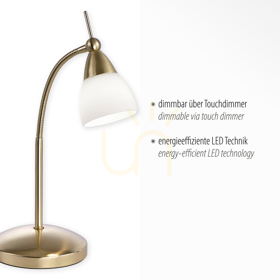 Display PINO Table Lamp 4001-60 Brass 1xG9 PINO Table Lamp 4001-60 Brass 1xG9