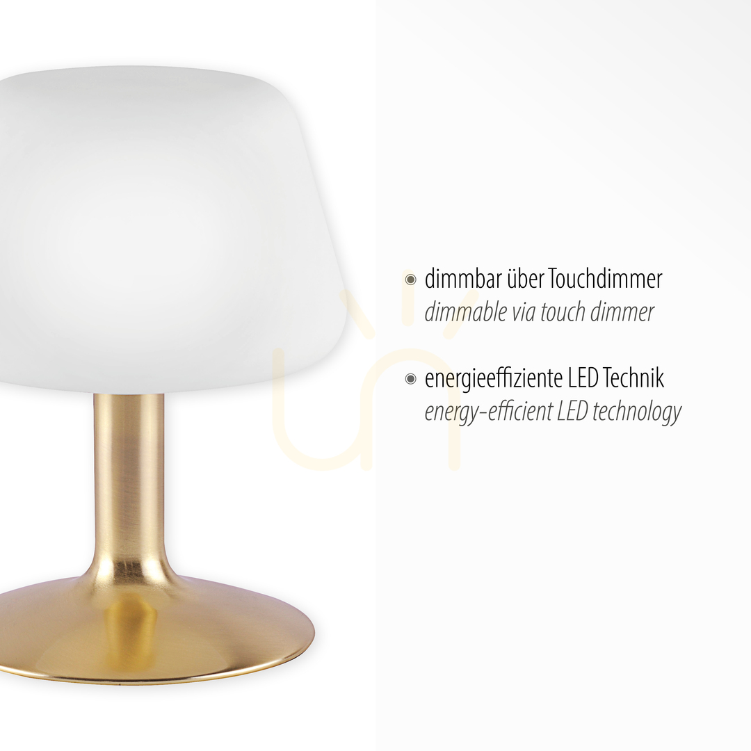 Display TILL Table Lamp 4078-60 Brass 1xG9 TILL Table Lamp 4078-60 Brass 1xG9