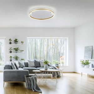 RITUS Plafond 15392-60 Brass 1xLED 2 RITUS Plafond 15392-60 Brass 1xLED small 2