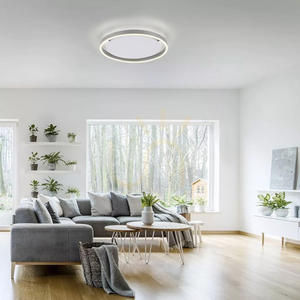 RITUS 15391-95 LED Ceiling Light Zuma Line, Silver, 39.3 cm small 15