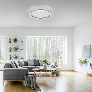 RITUS 15391-95 LED Ceiling Light Zuma Line, Silver, 39.3 cm small 2