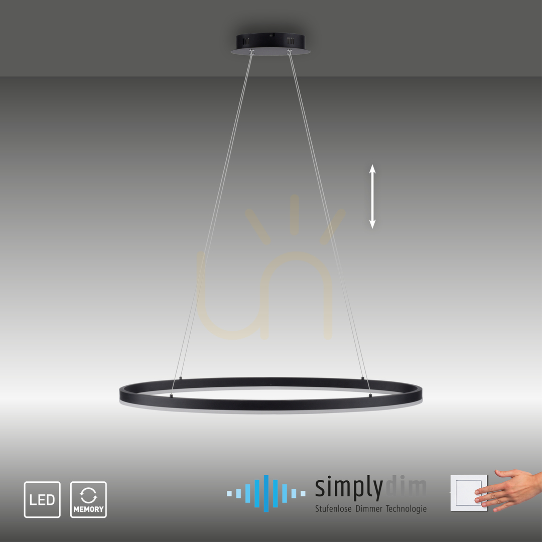 Preview TITUS Pendant Lamp 2392-13 Anthracite 1xLED TITUS Pendant Lamp 2392-13 Anthracite 1xLED
