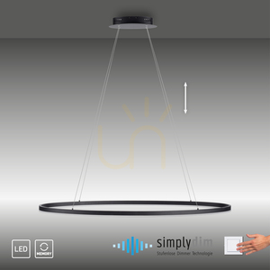 TITUS Pendant Lamp 2393-13 Anthracite 1xLED 12 TITUS Pendant Lamp 2393-13 Anthracite 1xLED small 12