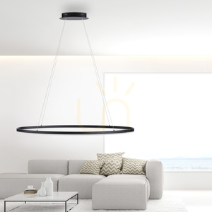 TITUS Pendant Lamp 2393-13 Anthracite 1xLED 2 TITUS Pendant Lamp 2393-13 Anthracite 1xLED small 2