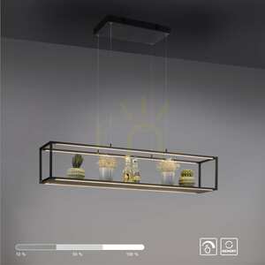 CONNI Pendant Lamp 2441-18 Black 4xLED. 12 CONNI Pendant Lamp 2441-18 Black 4xLED. small 12