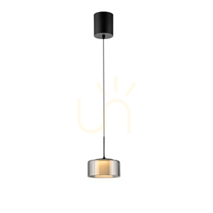 Paul Neuhaus RIKA 2112-18 LED pendant light, black with smoked shade, 15 cm small 15