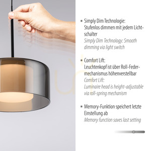 Paul Neuhaus RIKA 2112-18 LED pendant light, black with smoked shade, 15 cm small 3