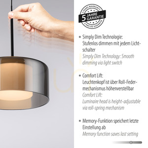 Paul Neuhaus RIKA 2112-18 LED pendant light, black with smoked shade, 15 cm small 4