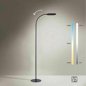 KELLY Floor Lamp 14406-18 Black 1xLED 10 KELLY Floor Lamp 14406-18 Black 1xLED small 10