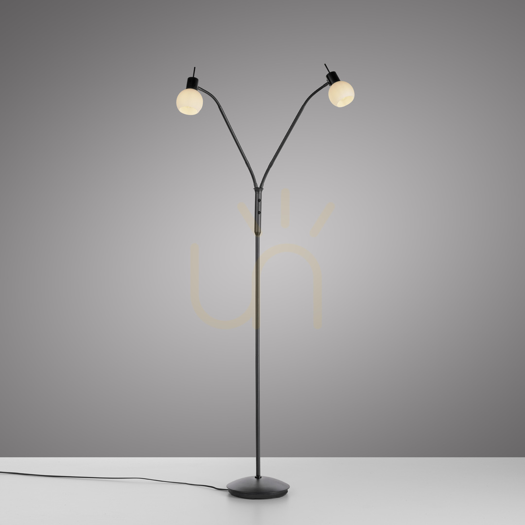 Check LOKI Floor Lamp 12158-18 Black 2xE14 LOKI Floor Lamp 12158-18 Black 2xE14