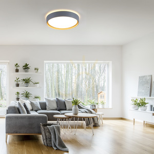 Plafond EMILIA 14347-15 Grey 1xLED 2 Plafond EMILIA 14347-15 Grey 1xLED small 2