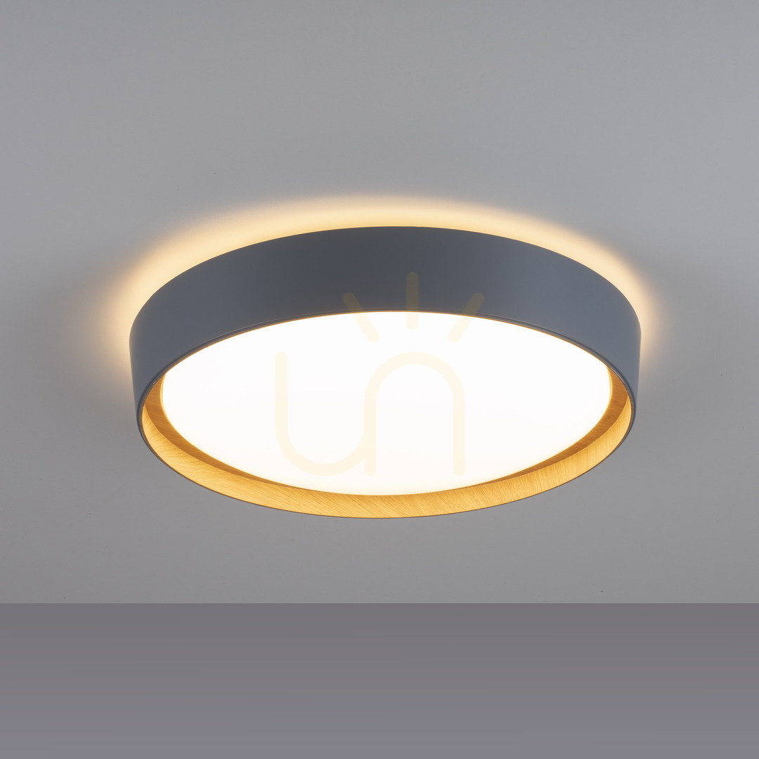 Show Plafond EMILIA 14347-15 Grey 1xLED Plafond EMILIA 14347-15 Grey 1xLED