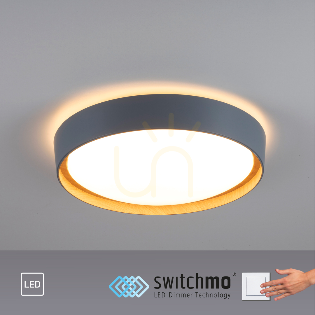 Show Plafond EMILIA 14347-15 Grey 1xLED Plafond EMILIA 14347-15 Grey 1xLED